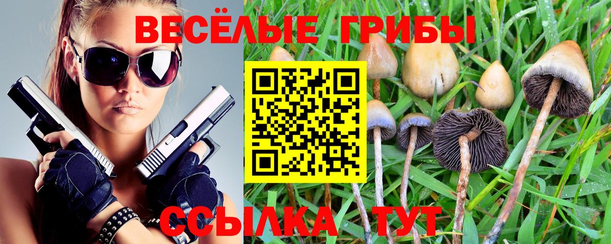Псилоцибиновые грибы ЛСД Кстово