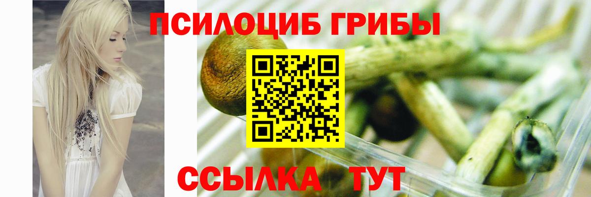 Кстово  Псилоцибиновые грибы MAGIC MUSHROOMS  Вход с VPN  Галлюциногенные грибы MAGIC MUSHROOMS 